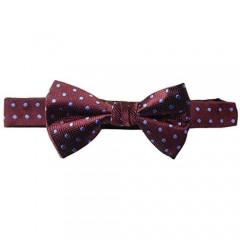Brand - Buttoned Down Men's Classic Silk Pre-Tied Bow Tie