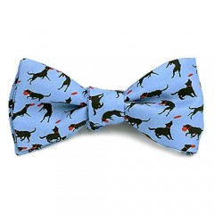 Josh Bach Men's Frisbee and Dog Self Tie Silk Bow Tie in Blue Made in USA