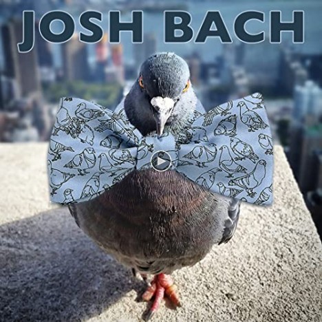Josh Bach Men's Summer Sunglasses Self Tie Silk Bow Tie in Yellow Made in USA