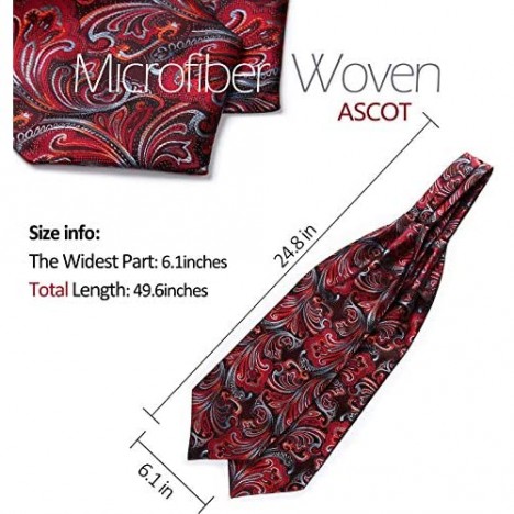 HISDERN Men's Floral Jacquard Woven Self Cravat Tie Ascot