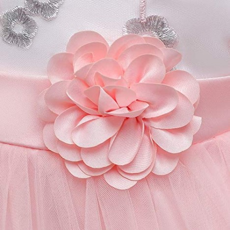 3M-9T Baby Girls Flower Dress Embroidery Pageant Party Wedding Lace Dresses