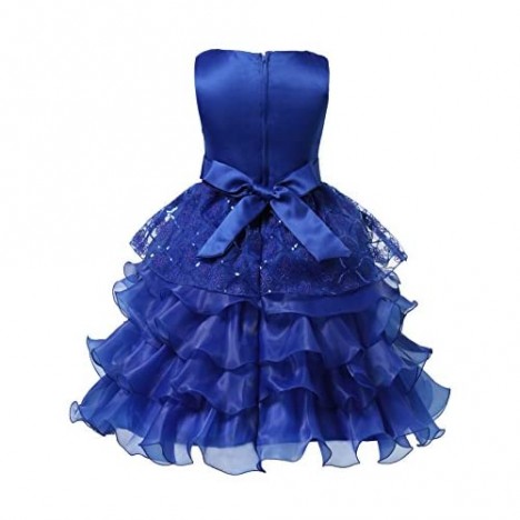 aibeiboutique Princess Lace Tulle Dress for Girls Pageant Birthday Party Dresses Ball Gown