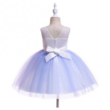 Weileenice 2-14T Girls Flower Dress Lace Rainbow Tulle 3D Embroidery Beading Princess Pageant Wedding Party Dresses