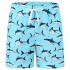 Akula Boys' Printed Swim Trunks Beach Board Shorts with Pockets