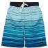 Big Chill Boys' Bathing Suit – UPF 50+ Quick Dry Board Shorts Swim Trunks (Big Boy)