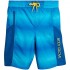 Body Glove Boys' Board Shorts - UPF 50+ Quick Dry Bathing Suit (Big Boy)
