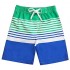 Kute 'n' Koo Boys Swim Trunks  UPF 50+ Quick Dry Striped Boys Swim Shorts  Boys Bathing Suit (14/16  T2)