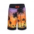 Rokka&Rolla Boys' Quick Dry Drawstring Waist Beach Swim Trunks Board Shorts with Mesh Lining
